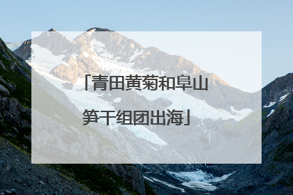 青田黄菊和阜山笋干组团出海