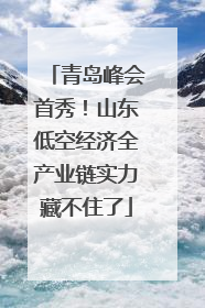 青岛峰会首秀！山东低空经济全产业链实力藏不住了