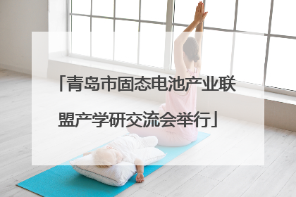 青岛市固态电池产业联盟产学研交流会举行