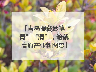 青岛援藏妙笔“青”“清”，绘就高原产业新图景