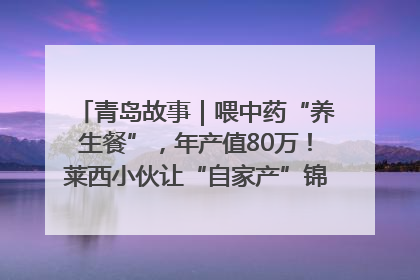青岛故事｜喂中药“养生餐”，年产值80万！莱西小伙让“自家产”锦鲤“游”向全国