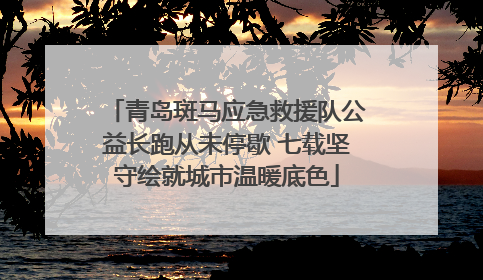 青岛斑马应急救援队公益长跑从未停歇 七载坚守绘就城市温暖底色