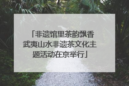 非遗馆里茶韵飘香 武夷山水非遗茶文化主题活动在京举行