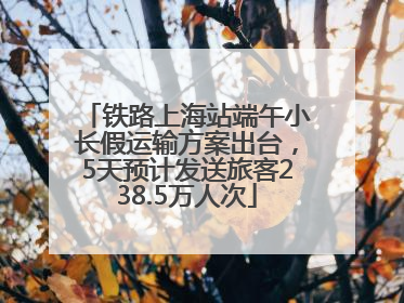 铁路上海站端午小长假运输方案出台，5天预计发送旅客238.5万人次