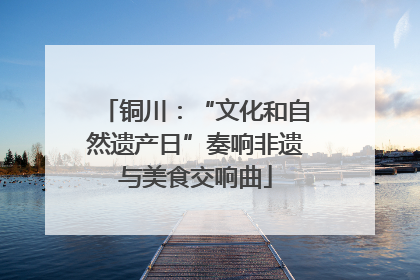 铜川：“文化和自然遗产日”奏响非遗与美食交响曲