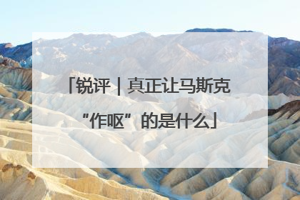锐评｜真正让马斯克“作呕”的是什么