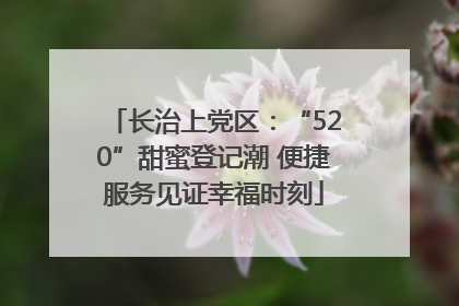 长治上党区：“520”甜蜜登记潮 便捷服务见证幸福时刻