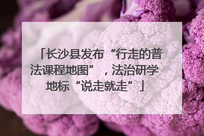 长沙县发布“行走的普法课程地图”，法治研学地标“说走就走”