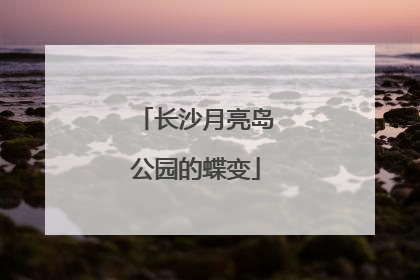 长沙月亮岛公园的蝶变