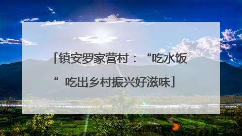 镇安罗家营村：“吃水饭”吃出乡村振兴好滋味
