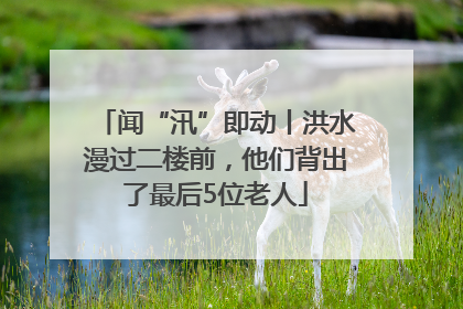 闻“汛”即动丨洪水漫过二楼前，他们背出了最后5位老人
