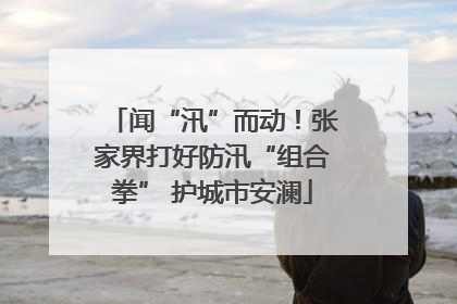 闻“汛”而动！张家界打好防汛“组合拳” 护城市安澜