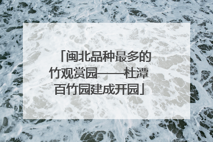 闽北品种最多的竹观赏园——杜潭百竹园建成开园