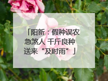阳新：假种误农急煞人 千斤良种送来“及时雨”