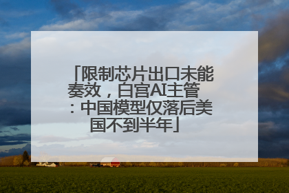 限制芯片出口未能奏效，白宫AI主管：中国模型仅落后美国不到半年