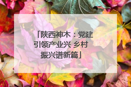 陕西神木：党建引领产业兴 乡村振兴谱新篇