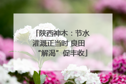 陕西神木：节水灌溉正当时 良田“解渴”促丰收