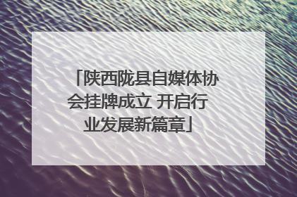 陕西陇县自媒体协会挂牌成立 开启行业发展新篇章