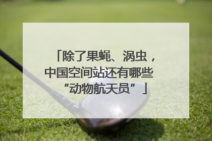 除了果蝇、涡虫，中国空间站还有哪些“动物航天员”