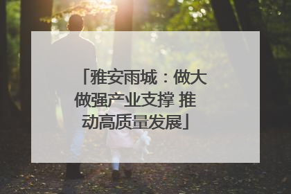 雅安雨城：做大做强产业支撑 推动高质量发展