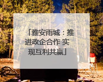 雅安雨城：推进政企合作 实现互利共赢