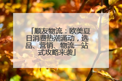 顺友物流：欧美夏日消费热潮涌动，选品、营销、物流一站式攻略来袭