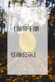 领导干部任前公示