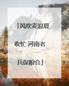 风吹麦浪夏收忙 河南老兵保粮仓