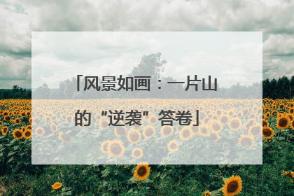 风景如画：一片山的“逆袭”答卷