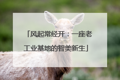 风起常经开：一座老工业基地的智美新生