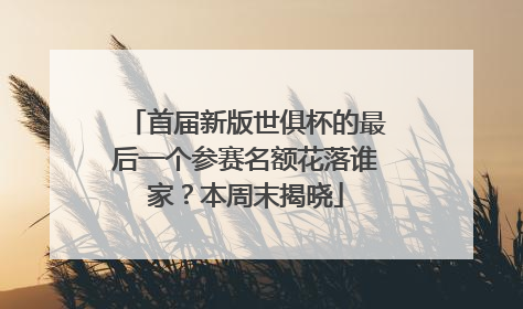 首届新版世俱杯的最后一个参赛名额花落谁家？本周末揭晓