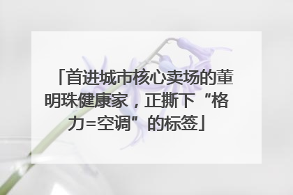 首进城市核心卖场的董明珠健康家，正撕下“格力=空调”的标签