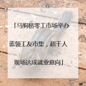 马驹桥零工市场举办蓝领工友市集，超千人现场达成就业意向