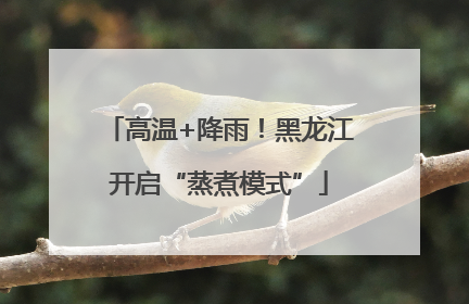 高温+降雨！黑龙江开启“蒸煮模式”