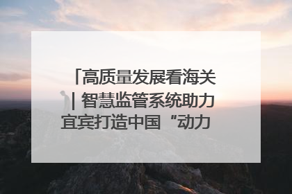 高质量发展看海关｜智慧监管系统助力宜宾打造中国“动力电池之都”