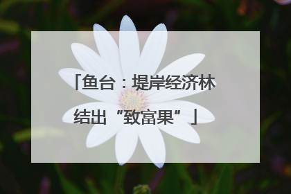 鱼台：堤岸经济林结出“致富果”