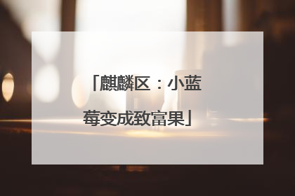 麒麟区：小蓝莓变成致富果