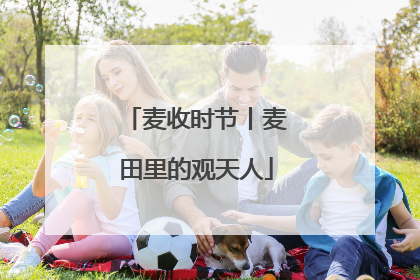 麦收时节丨麦田里的观天人