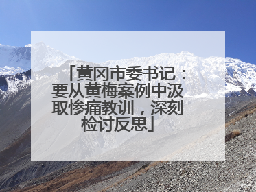 黄冈市委书记：要从黄梅案例中汲取惨痛教训，深刻检讨反思