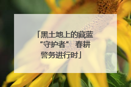 黑土地上的藏蓝“守护者” 春耕警务进行时