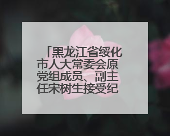 黑龙江省绥化市人大常委会原党组成员、副主任宋树生接受纪律审查和监察调查