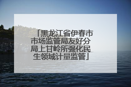 黑龙江省伊春市市场监管局友好分局上甘岭所强化民生领域计量监管