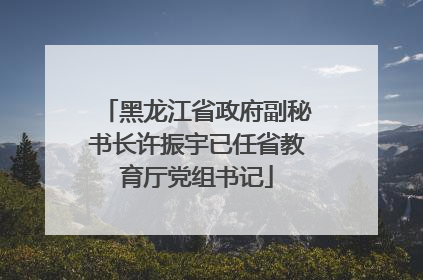 黑龙江省政府副秘书长许振宇已任省教育厅党组书记