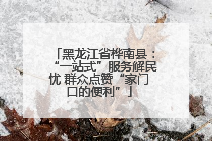 黑龙江省桦南县：“一站式”服务解民忧 群众点赞“家门口的便利”