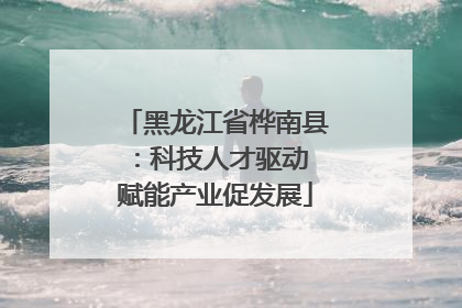黑龙江省桦南县：科技人才驱动 赋能产业促发展