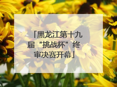 黑龙江第十九届“挑战杯”终审决赛开幕