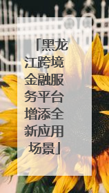 黑龙江跨境金融服务平台增添全新应用场景