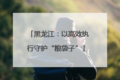 黑龙江：以高效执行守护“粮袋子”