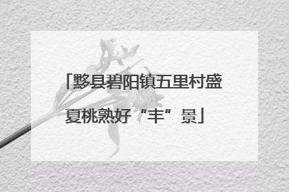 黟县碧阳镇五里村盛夏桃熟好“丰”景