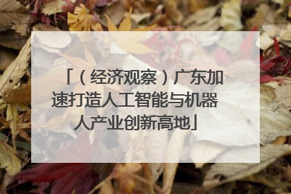 （经济观察）广东加速打造人工智能与机器人产业创新高地